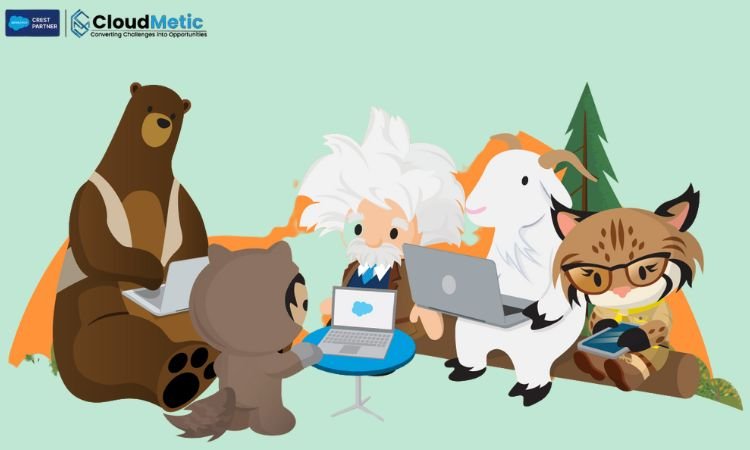 how does salesforce trailhead function